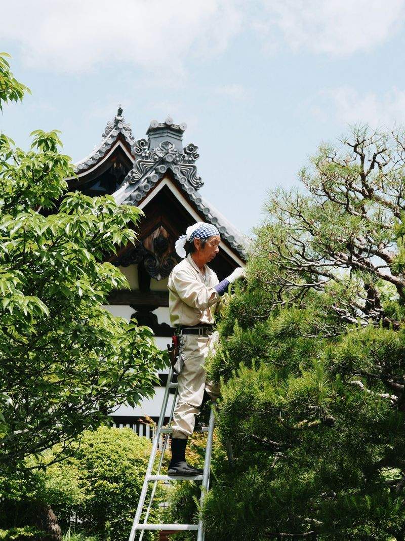 高橋 恒一